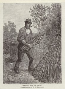 Disposition du bois pour la fosse - English School