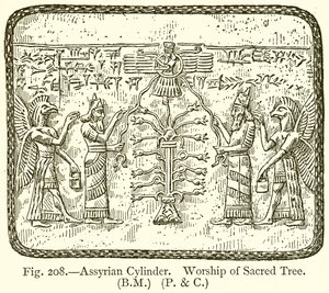 Cylindre assyrien. Adoration de l