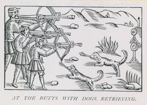 Aux cibles avec des chiens rapportant - English School