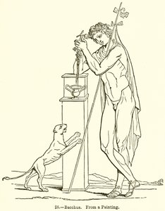 Bacchus
