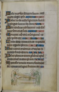Scène en bas de page d