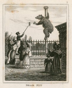Fosse aux ours, jardins zoologiques de Londres, Regents Park