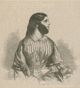 Femme à barbe - English School