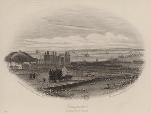 Route de Beddgelert, Caernarfon, Nord du Pays de Galles (gravure) - English School