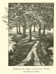 Entre les étangs supérieur et inférieur, parc de Richmond - English School