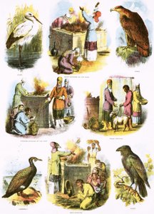 Illustrations bibliques