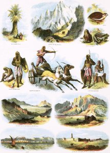 Illustrations bibliques