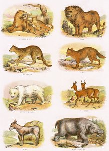 Histoire naturelle biblique