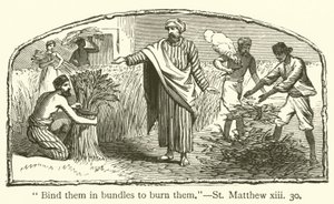 "Liez-les en bottes pour les brûler", Saint Matthieu, xiii, 30 - English School