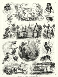 Bornéo et les îles aux épices - English School