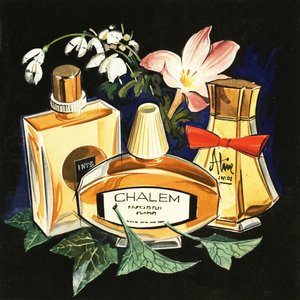 Bouteilles de parfum