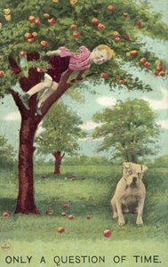 Garçon dans un pommier, avec un chien en bas attendant qu