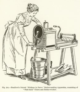 Appareil à beurre breveté Multum in Parvo de Bradford, composé de baratte à dos de poisson et de travailleuse à beurre - English School