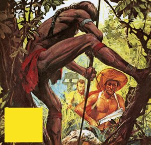 Brésil : le pays qui a taillé une ville dans la jungle