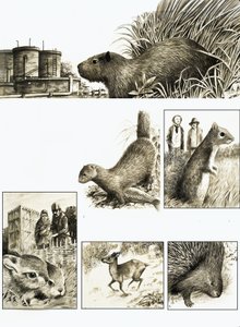 Les Natives Perdus de la Grande-Bretagne