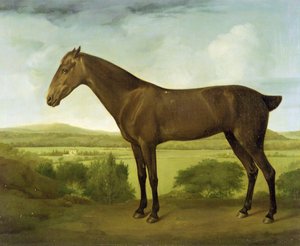 Cheval brun dans un paysage vallonné, c.1780-1800