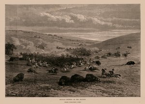 Chasse au bison dans les prairies (gravure)