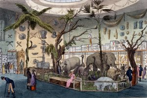 Musée Bullocks, 22 Piccadilly, Londres, d