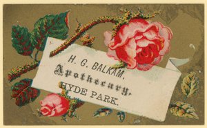 Carte de visite pour H G Balkam, apothicaire, Hyde Park - English School
