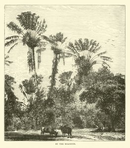 Au bord de la route