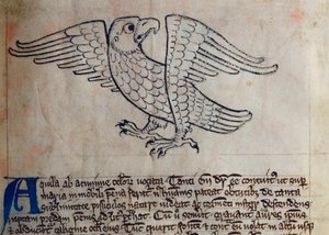 CCA-LitMs/D/10 fol. 13r Aigle, du Bestiaire