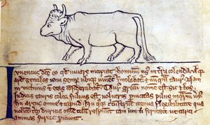 CCA-LitMs/D/10 fol. 9r Taureau, du Bestiaire - English School