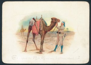 Carte de Noël des Camel Corps