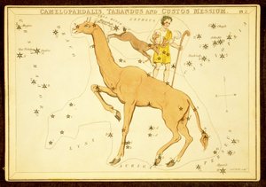 Camelopardalis, Tarandus et Custos Messium, pub. 1825 - English School