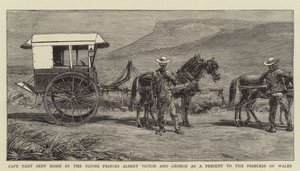 Chariot du Cap envoyé à la Maison par les Jeunes Princes Albert Victor et George comme Cadeau à la Princesse de Galles
