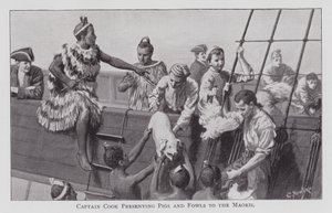 Le capitaine Cook présentant des cochons et des volailles aux Maoris - English School