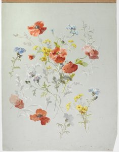 Design de tapis