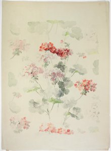 Design de tapis - English School