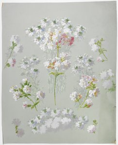 Design de tapis