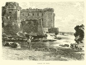 Château de Palo