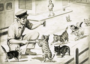 Les chats viennent saluer l