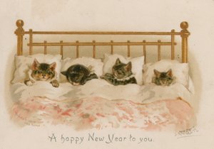 Chats dormant
