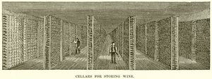 Caves pour le stockage du vin - English School