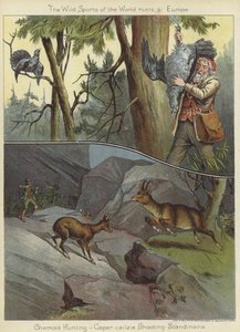 Chasse au chamois et tir au grand tétras - English School