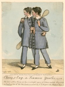 Chang et Eng, les Jeunes Siamois, âgés de 18 ans - English School