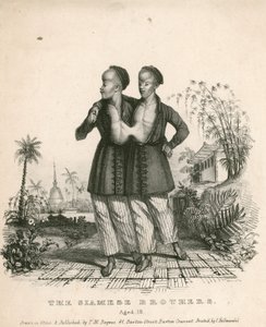 Chang et Eng, les Jeunes Siamois, âgés de 18 ans - English School