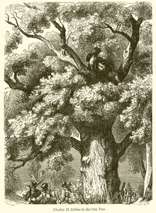 Charles II caché dans le chêne - English School