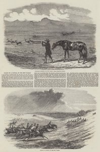 Chasse d