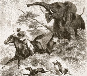 Poursuivi par un éléphant, illustration de l
