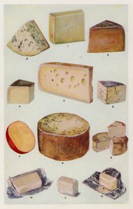Cheddar; Gorgonzola; Double Gloucester; Parmesan; Gruyère; Roquefort; Hollandais; Stilton; Camembert; St Ives; Crème