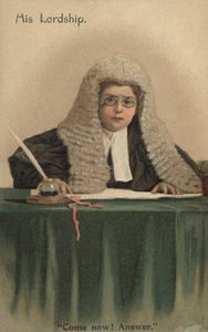 Enfant déguisé en juge - English School