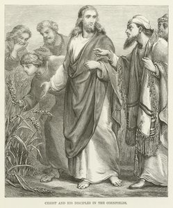 Christ et ses disciples dans les champs de blé - English School