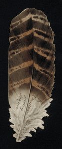 Carte de Noël en forme de plume, carte de vœux