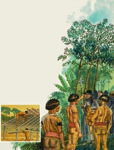 Arbre à quinquina - English School