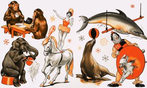 Montage de cirque