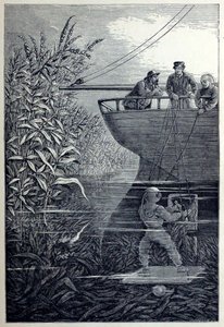 Nettoyage de la vis, de Sous les vagues, ou Plongée en eaux profondes - English School